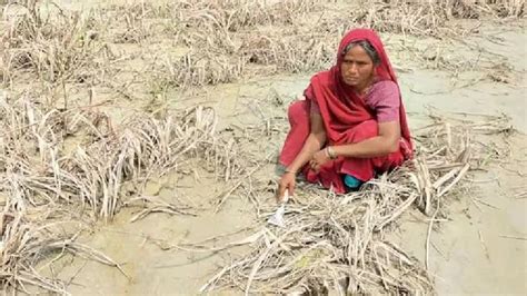 किसानों के लिए क्यों जरूरी है पीएम फसल बीमा योजना जानिए कहां और कैसे