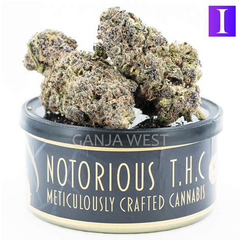 Notorious Thc Craft Ghost Og X Cherry Puff Grams Ganja West