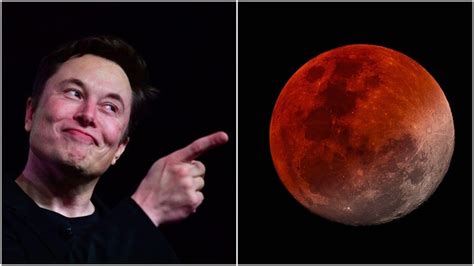 Elon Musk's 'Moon Mix-Up' Was Actually an Epic Bezos Troll