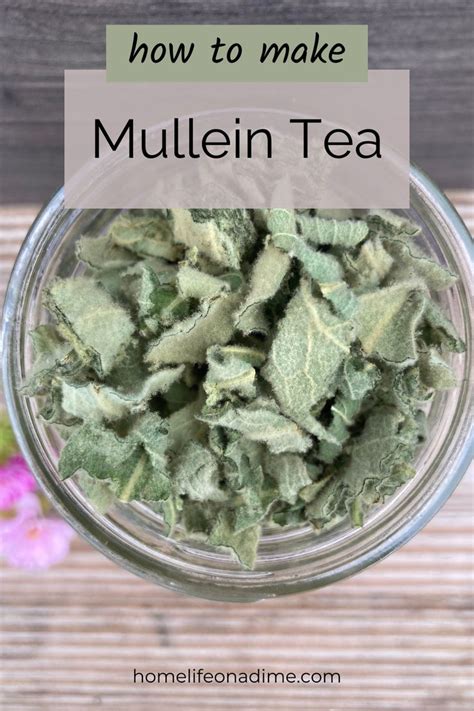 How To Make Mullein Leaf Tea With Fresh And Dried Leaves Recipe