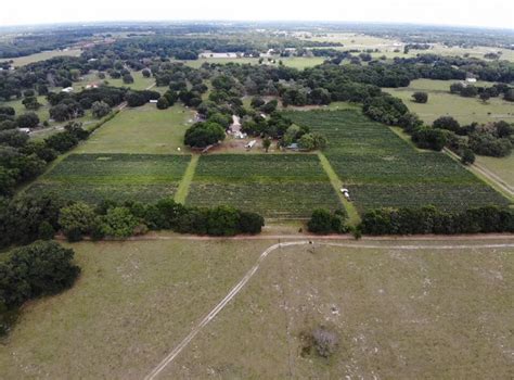 Whispering Oaks Winery Oxford Fl Wedding Venue