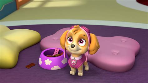 Watch Paw Patrol Season 2 Episode 47 Pups Save An Eagle Watch Full Episode Online Hd On