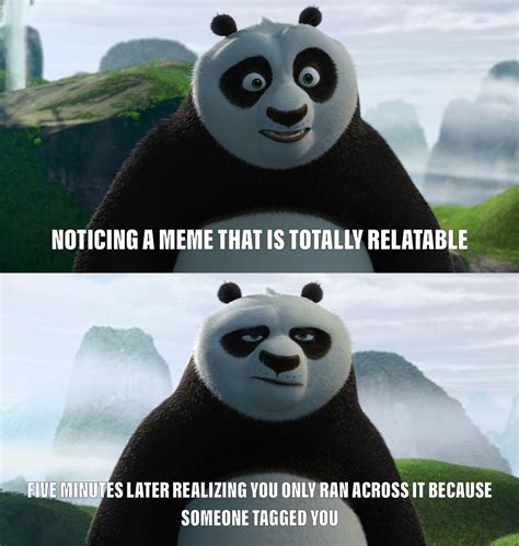 Kung Fu Panda Meme by TigressLanzhu on DeviantArt