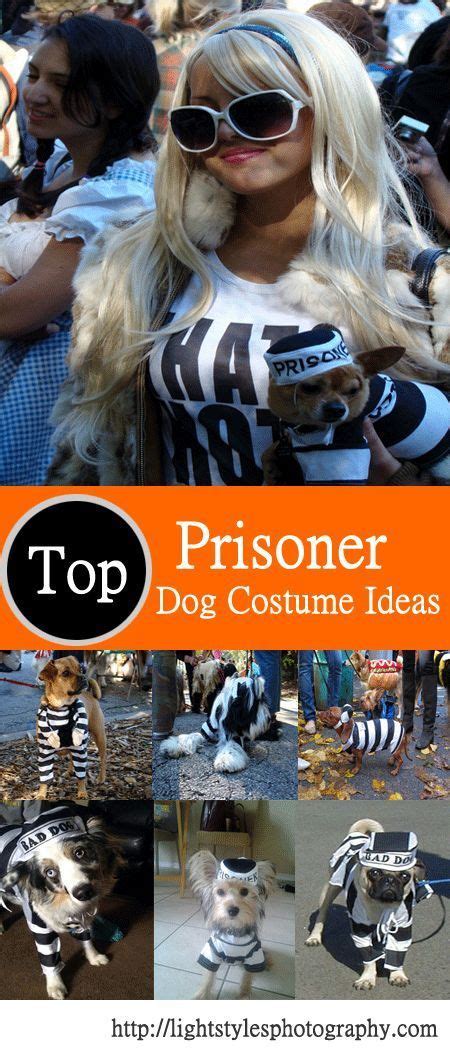 Prisoner Dog Costume Ideas | Dog costumes, Dog costume, Dog halloween ...