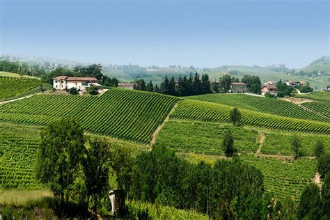 What to see in and around Nizza Monferrato, in Piedmont