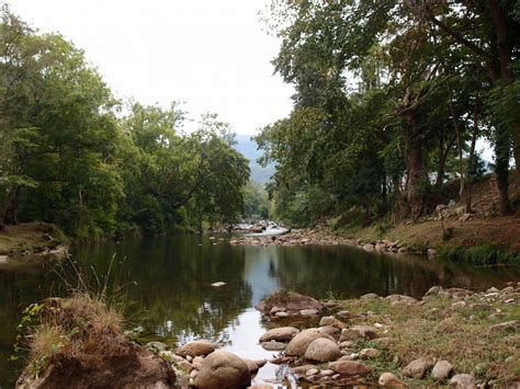 Fotos gratis árbol lago río estanque selva camino acuático