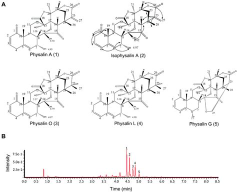 The Main Extracts Of Physalis Alkekengi Var Franchetii A Chemical