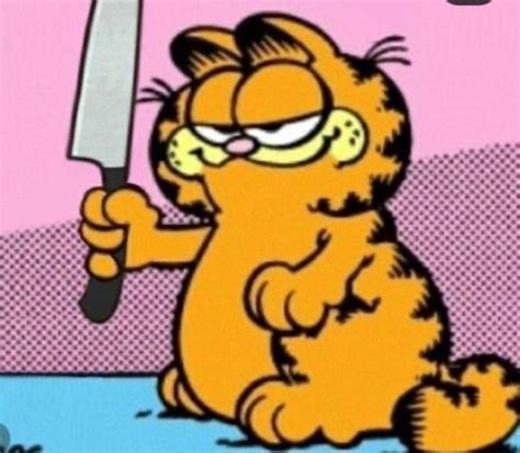 Garfield | Garfield pictures, Garfield cat, Garfield images