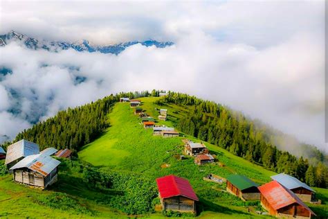 Rize Günübirlik Turlar Organica Tour