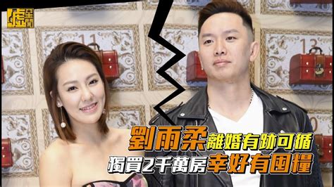 劉雨柔離婚有跡可循獨買2千萬房幸好有囤糧 Youtube