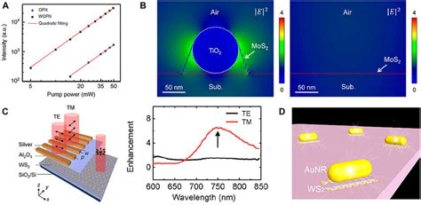 Hybrids Of Nw And D Tmds For The Enhancement Of Lightmatter