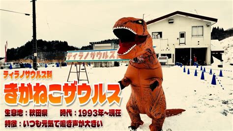 【秋田県】雪国の冬を遊びつくす2日間。あきた白神エリア超堪能vlogを撮影してきました。