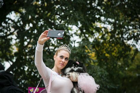 Dogs in Costumes for a Halloween Parade - ABC News