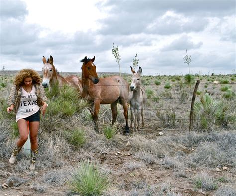 Beyoncé — bawdownbitches: Beyonce and horses :P