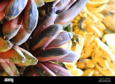 Banana Fruits From Africa As Nice Food Background Stock Photo Alamy