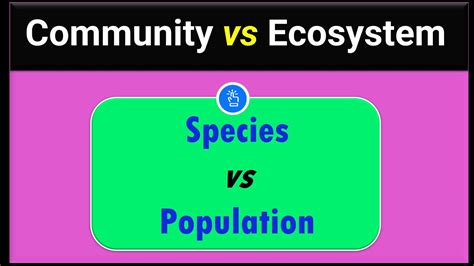 Species And Population Community And Ecosystem Neet YouTube