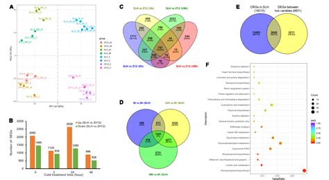 Figure 3 From Integrated Transcriptomics And Metabolomics Analysis