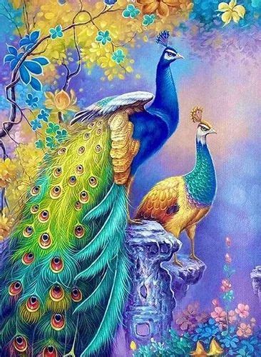 Beautiful Peacocks Paintings