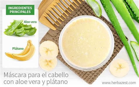 M Scara Para El Cabello Con Aloe Vera Y Pl Tano Herbazest