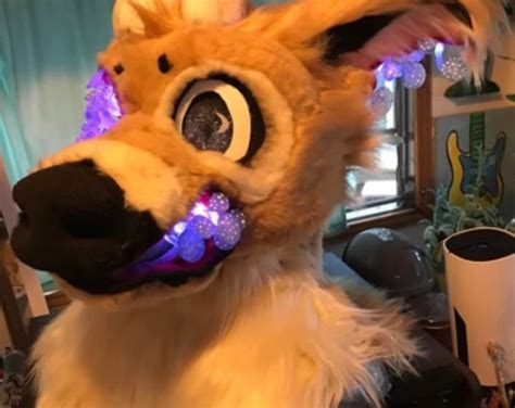 Fursuit Head Premade ON HOLD Etsy