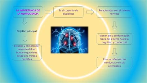 Importancia De La Neurociencia Ppt