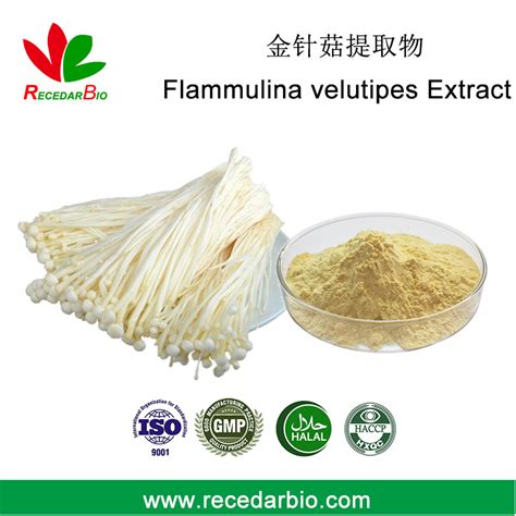 Flammulina Velutipes Extract Powder 10 To 50 Polysaccharide