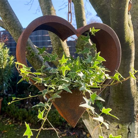 Herz mit Kette H 25 cm Edelrost Rostherz Herz zum Hängen Bepflanzen