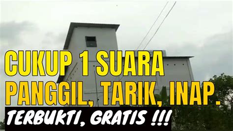 Suara Panggil Tarik Inap Walet Terbaik Super Jernih Testimoni Suara