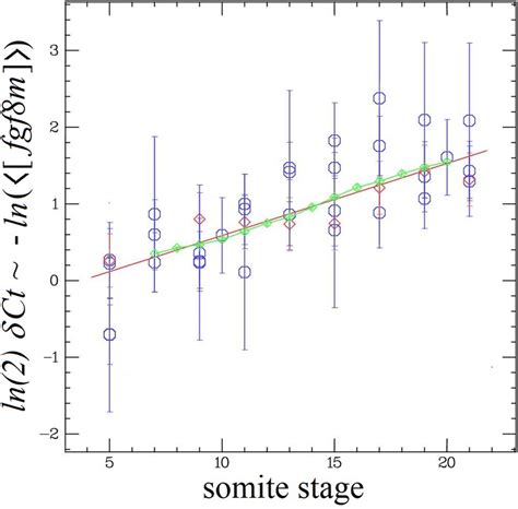 Variation Of The Fgf8 Mrna Concentration With Somite Stage Negative