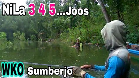 Ada NiLa Babon Mancing Di WKO YouTube