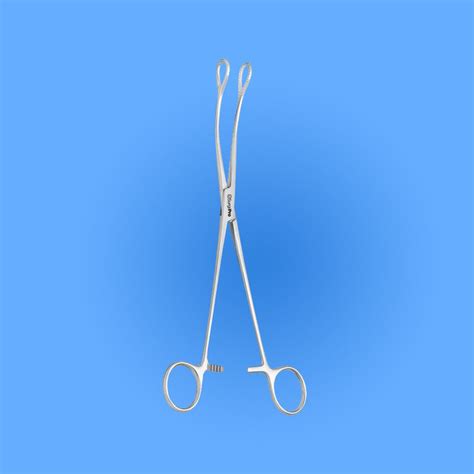 Buy Surgical Fletcher Cervix Holding Forceps At Best Price