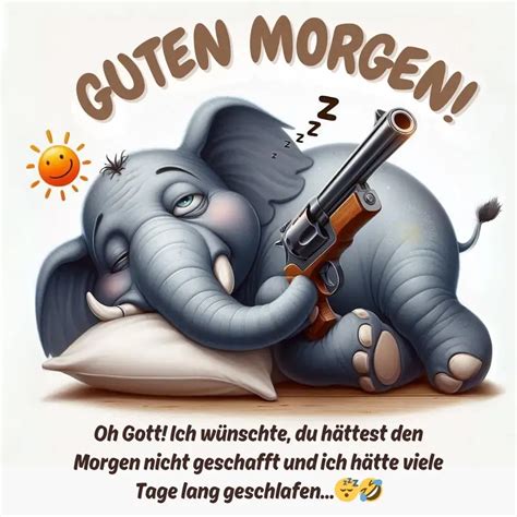 555 Ausgefallen Lustige Guten Morgen Grüße Bilder Kostenlos