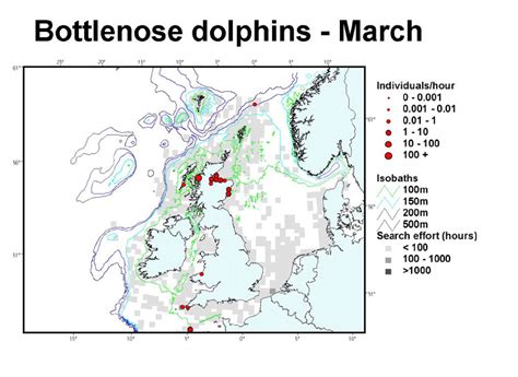 Sea Watch Foundation Bottlenose Dolphin Distribution Maps