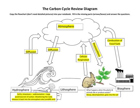 Carbon Cycle Diagram Worksheet – Ame.my.id