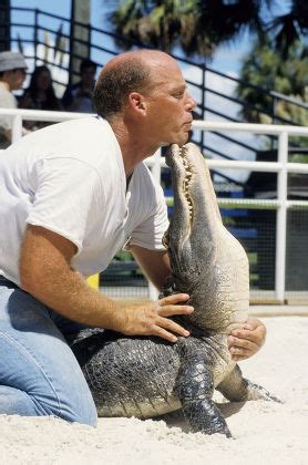 Alligator Wrestling Sunken Gardens Alligator Farm Editorial Stock Photo ...