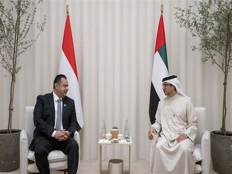 UAE Vice President Mansour Bin Zayed Meets Prime Minister Of Yemen