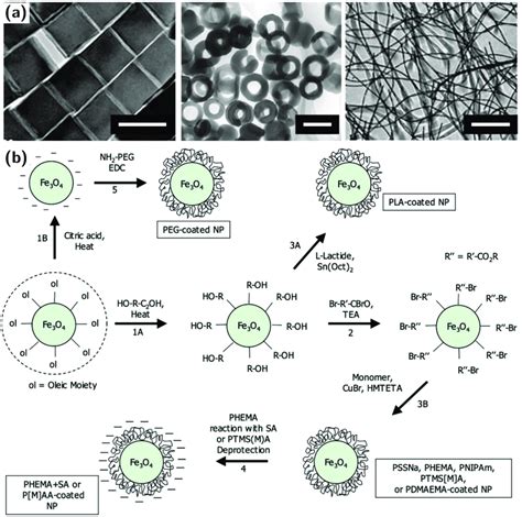 Functionalized Magnetic Nanoparticles For Synthesizing Ferromagnetic