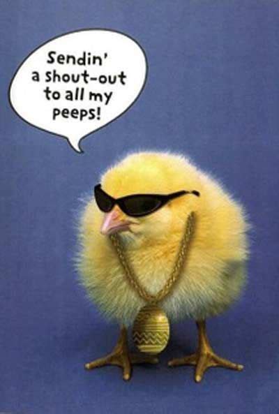 Funny Easter Pictures And Quotes - ShortQuotes.cc