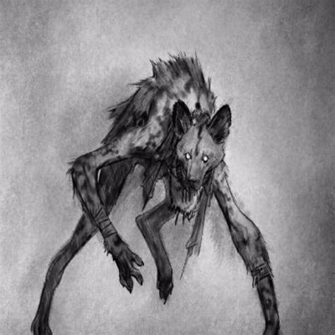 Navajo Skinwalker