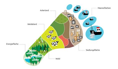 Der ökologische Fußabdruck Was ist das Our Footprint