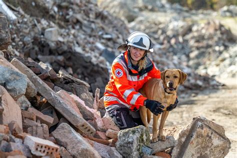 Sachsens Rettungs Hunde Unter Trümmern haben sie den besten Riecher