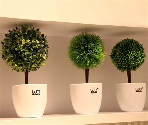 Como Decorar La Casa Con Plantas Artificiales