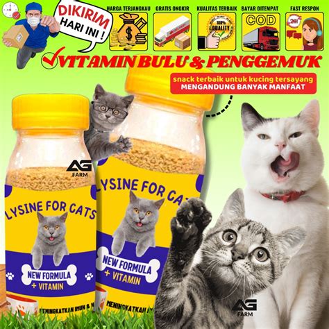 Jual V Lysine 50gr Penambah Nafsu Makan Kucing Vitamin Imun Tubuh