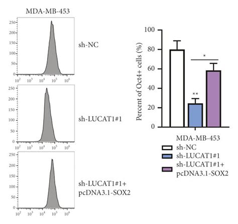 Lucat Contributes To Cell Stemness In Tnbc Via Enhancing Sox