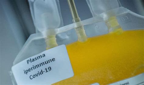 Plasma Iperimmune Parla Il Centro Nazionale Sangue Massimo