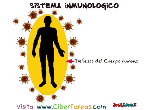 Constantemente Calendario Hazlo Plano Que Son Las Defensas Del Cuerpo