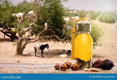 Argan Oil and Fruits with Argan Tree in the Background Stock Image - Image of country, donkey ...