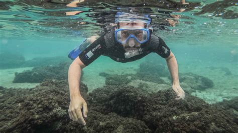 Travel From Sydney To Great Barrier Reef