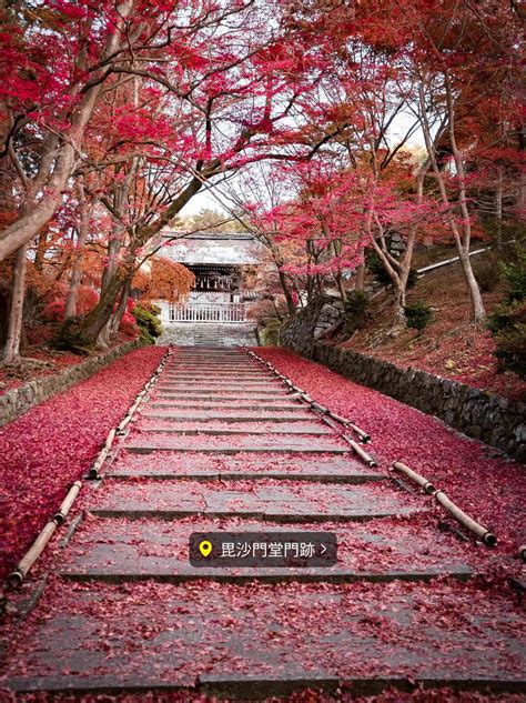 【穴場スポットもご紹介 】秋の紅葉絶景スポット紹介！京都編🍁 แกลเลอรีที่โพสต์โดย Eno絶景トラベル Lemon8