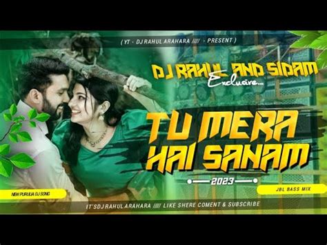 Tu Meri O Sanam New Romantic New Nagpuri Song Hard Vibration Mix